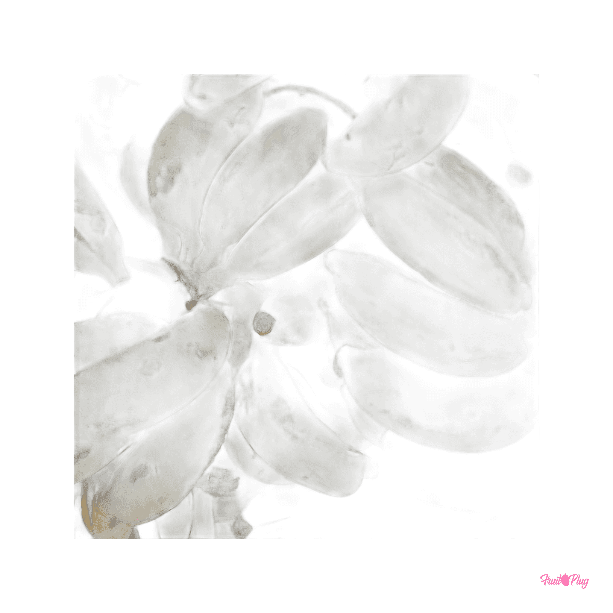 Baby banana — view 2