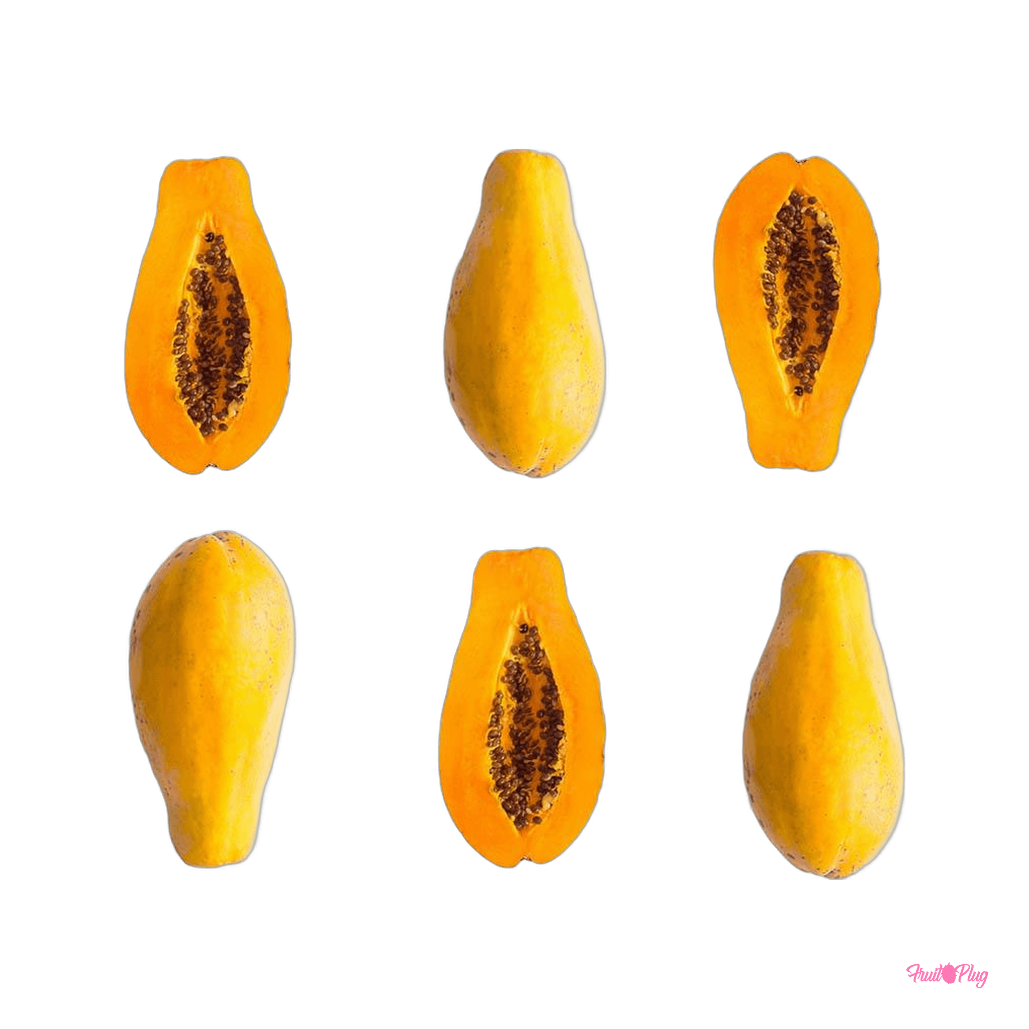 Baby papaya — view 2