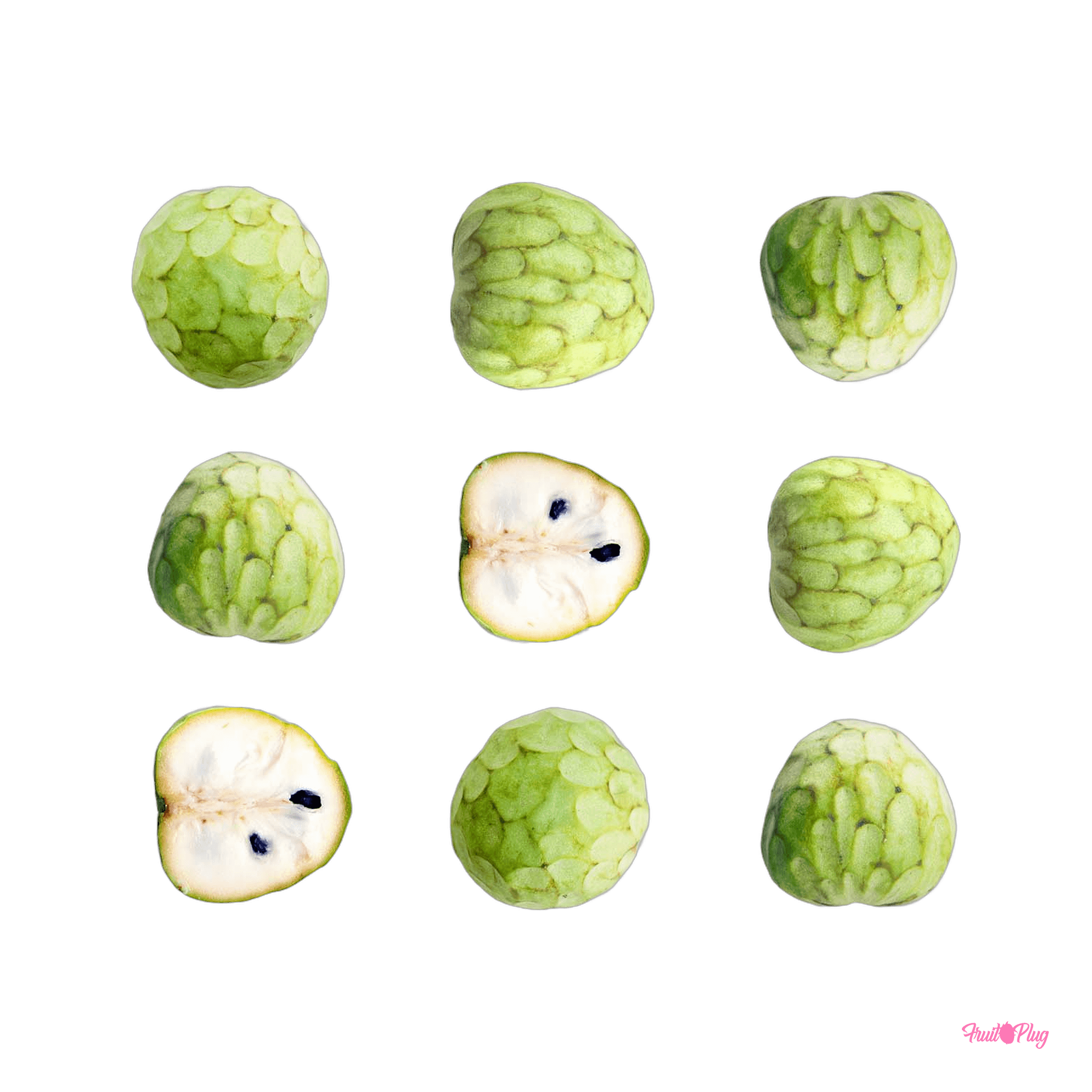 Custard apple — view 2