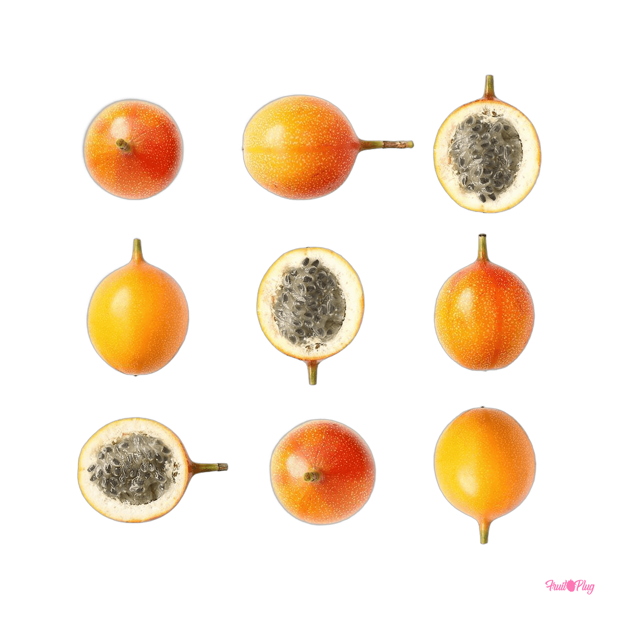 Granadilla — view 2