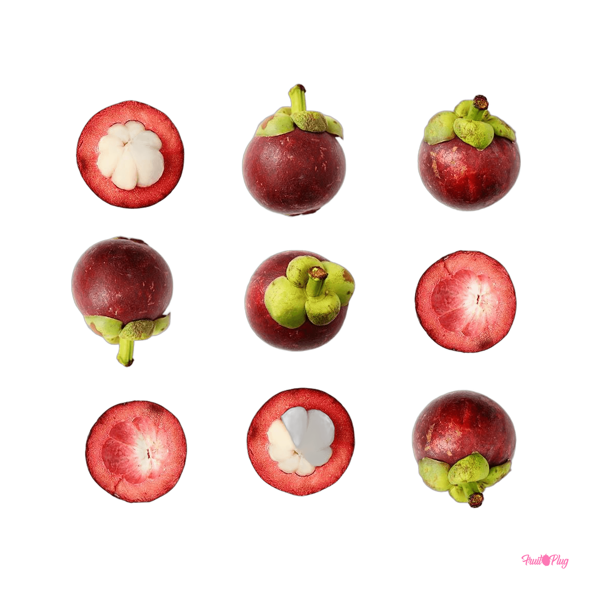 Mangosteen — view 2
