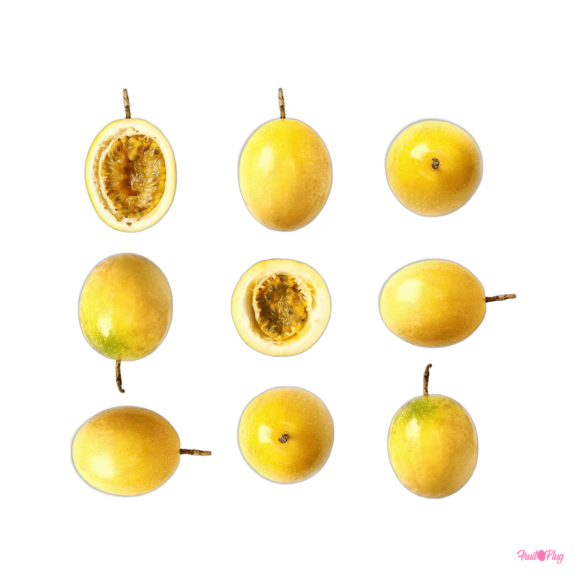 Maracuya — view 2