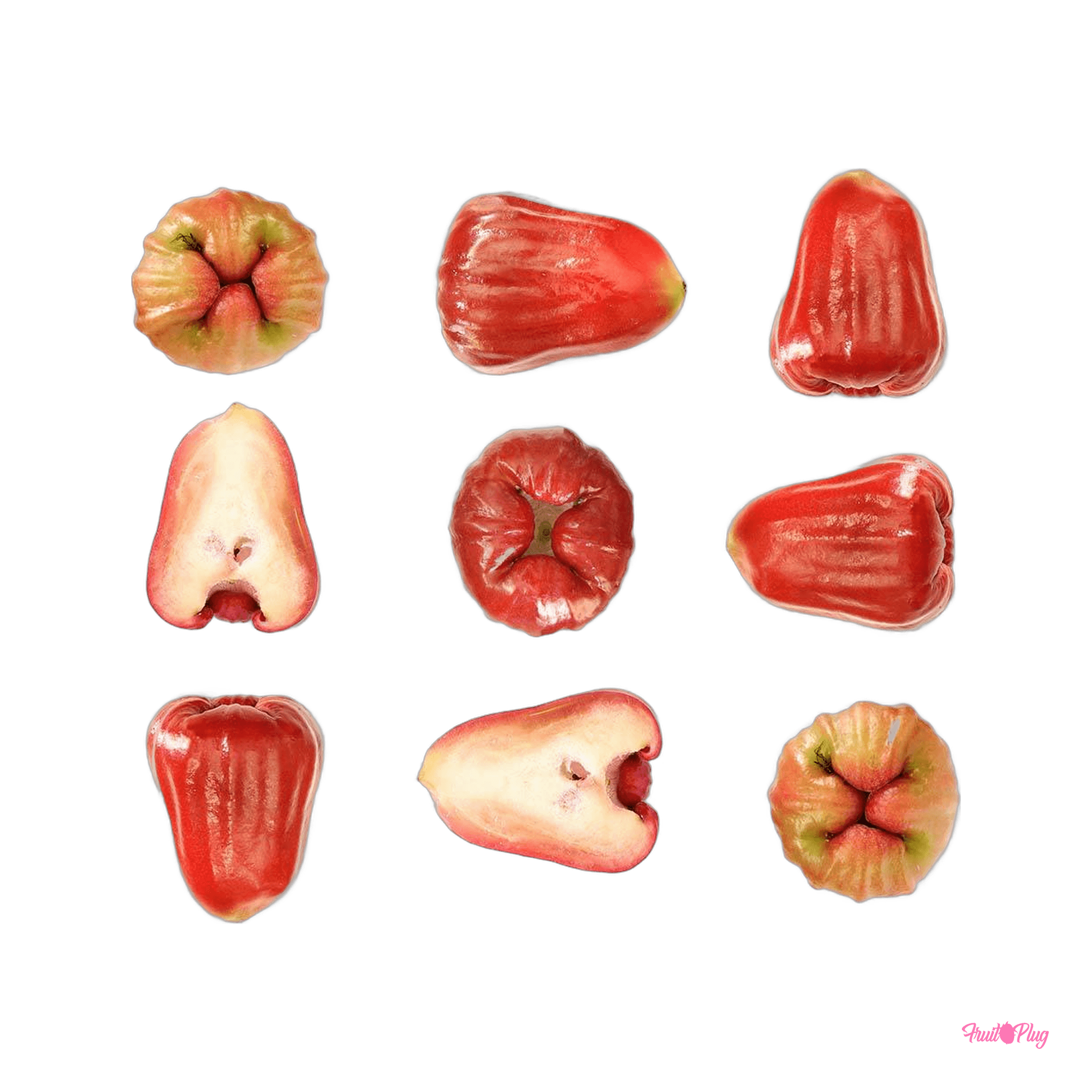 Rose apple — view 2