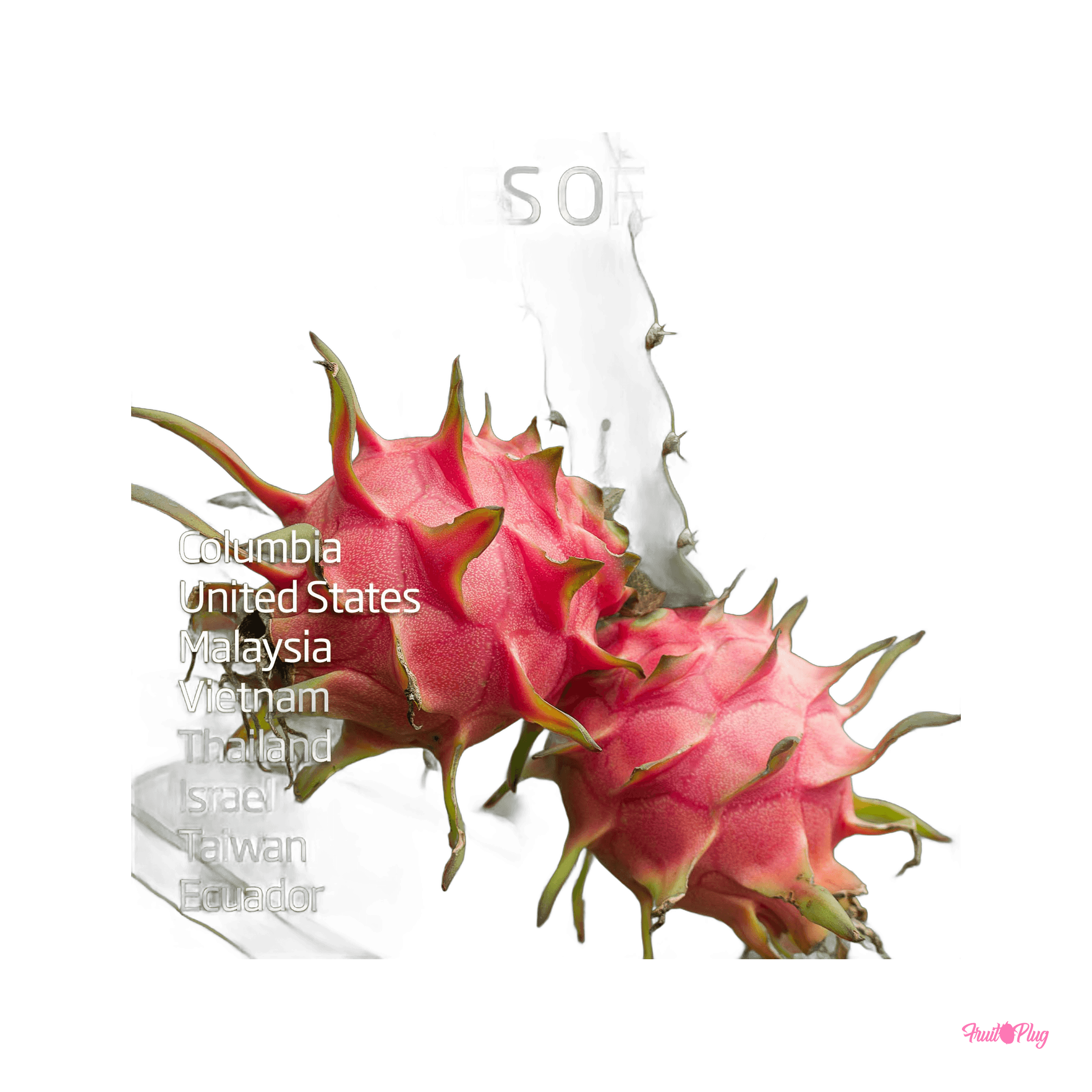 Red dragon fruit — view 3