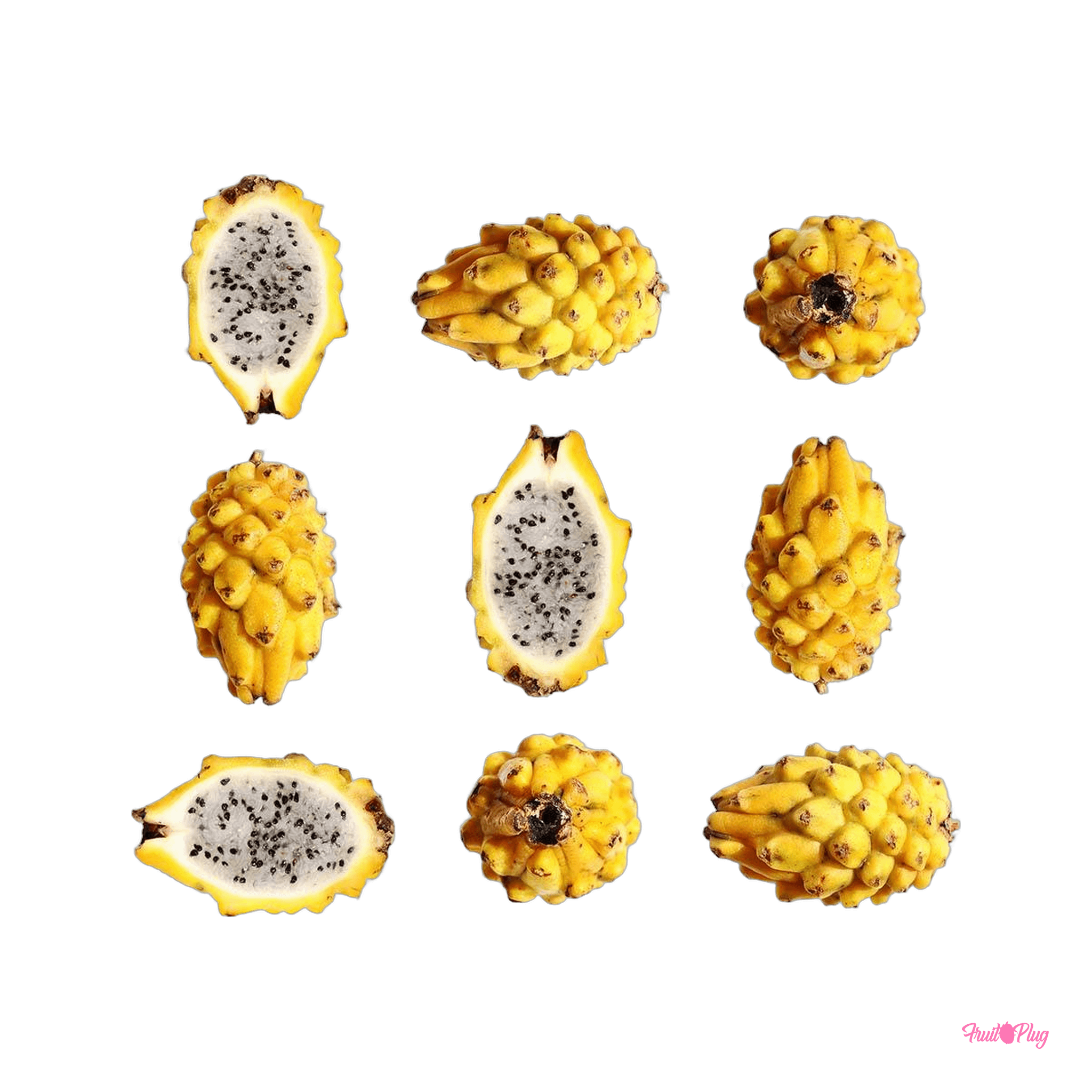 Yellow Dragon (Pitahaya) — view 2